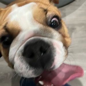 Meet your Posher, Audrie